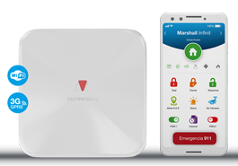 Marshall IP